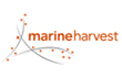 marine harvest